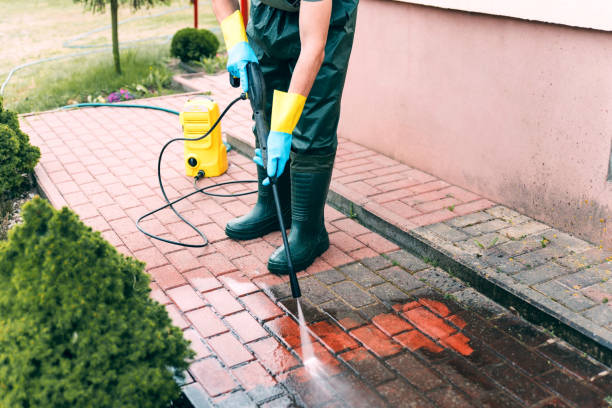 Best Local Pressure Washing Services  in Brush Prairie, WA