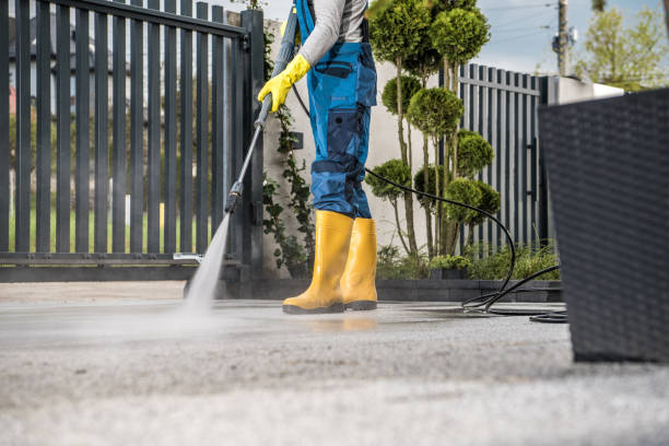 Best Roof Pressure Washing  in Brush Prairie, WA