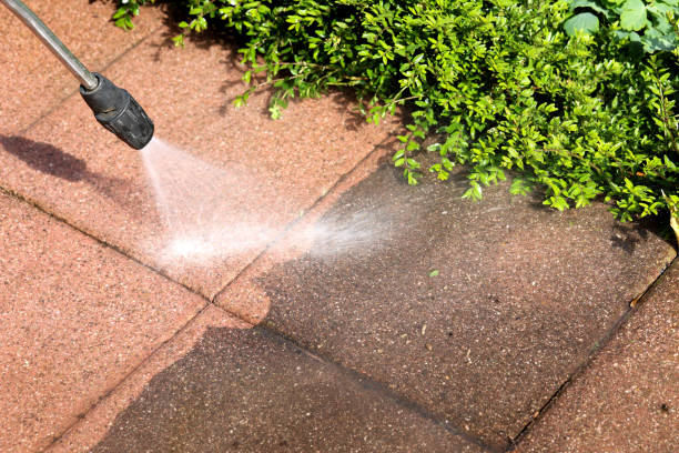 Roof Power Washing Services in Brush Prairie, WA